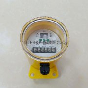 廠家批發(fā)打滑欠速開(kāi)關(guān)YHDH-Z欠速檢測(cè)裝置 廠家批發(fā)打滑欠速開(kāi)關(guān)YHDH-Z欠速檢測(cè)裝置