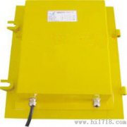 EXLDM-X溜槽堵塞保護(hù)裝置，220VLDM-E防爆溜槽堵塞檢測器